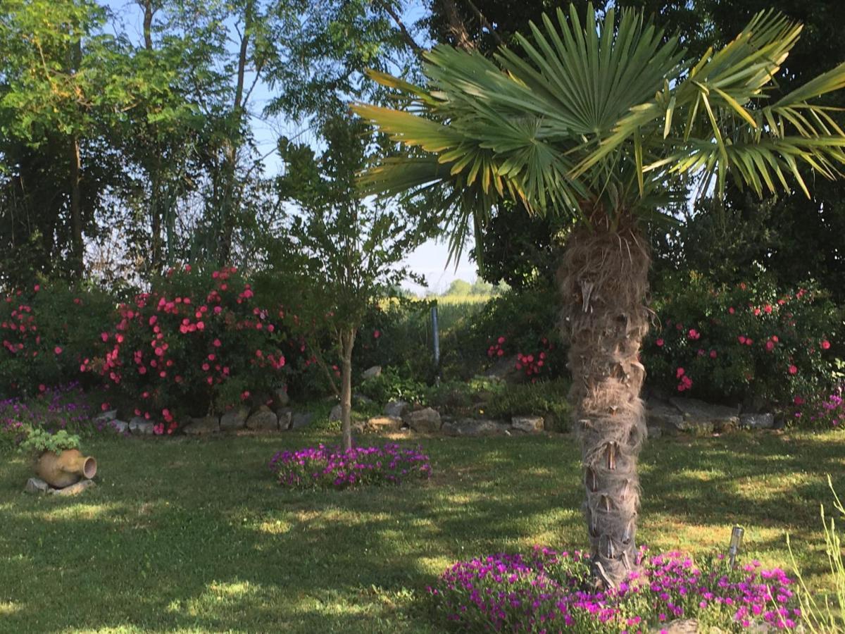 Pompignan  Appartement Mansarde Et Climatise 50 M2 מראה חיצוני תמונה